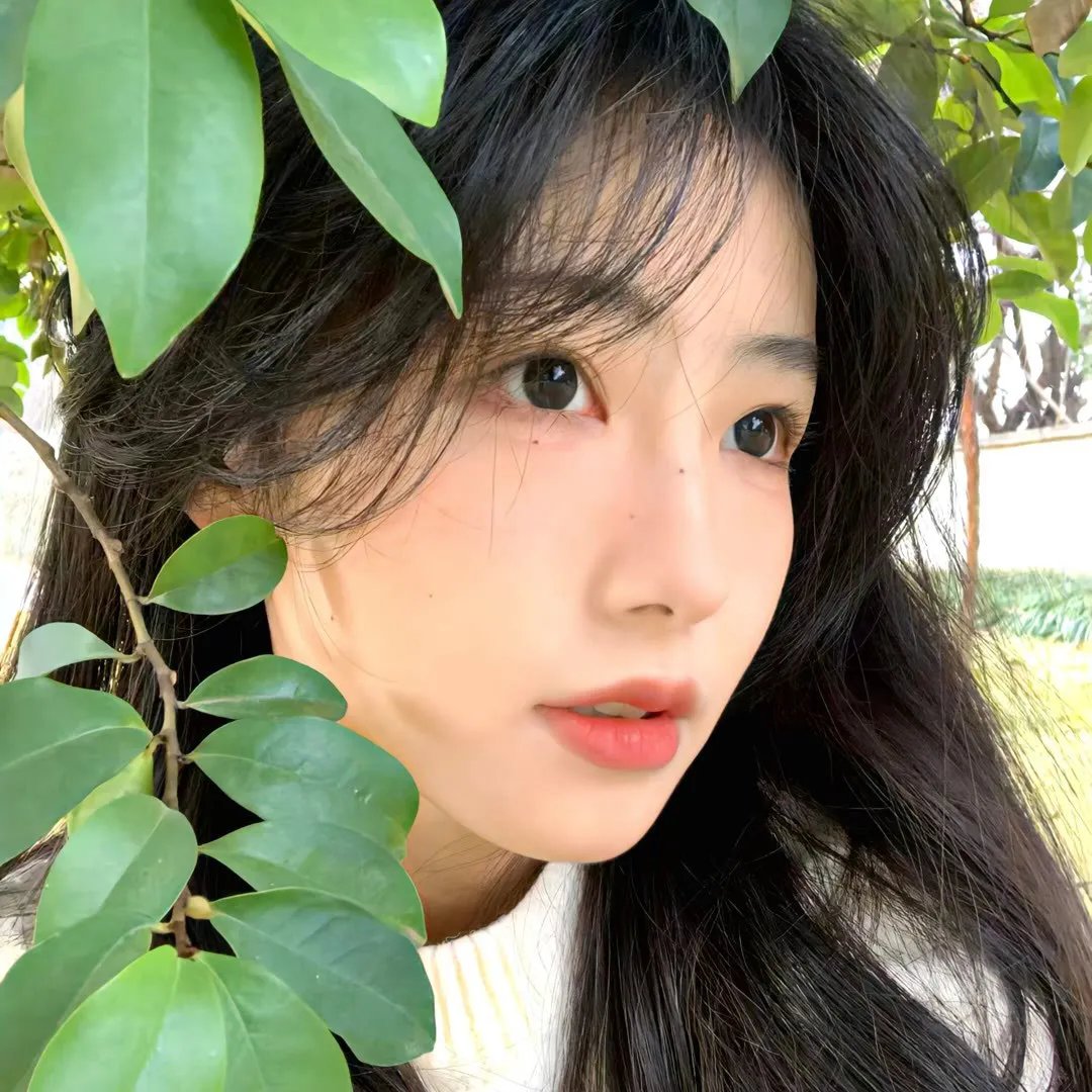 只因你是女子
